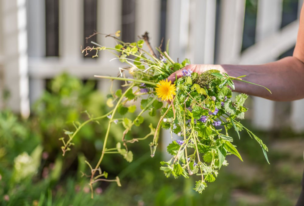 How to Keep Weeds Out of Flower Beds Forever Plant By Number™